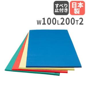 体操マット 2cm厚 すべり止め付 100×200×2cm 体育マット 運動マット カラーマット 軽量マット トレーニングマット 学校 体育 マット運動 日本製 S-8661-64｜lookit