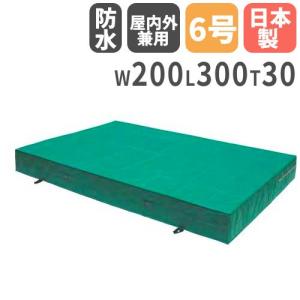 SANWA TAIKU 法人限定 体操マット 30cm厚 6号帆布 室内外兼用