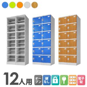 プラスチックロッカー 12人用 ロッカー 2列6段 宅配ボックス