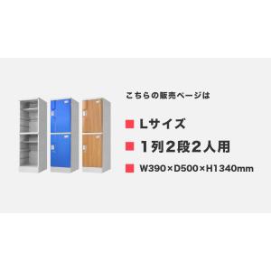プラスチックロッカー 2人用 ロッカー 1列2...の詳細画像2