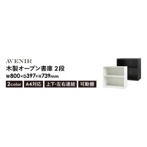 木製キャビネット 2段 オープン 書庫 収納棚...の詳細画像2