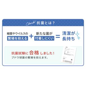 キッズチェア 抗菌 レザー キッズチェアー 子...の詳細画像4