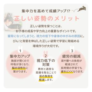 学習椅子 肘なし 足置きリング付き オフィスチ...の詳細画像5