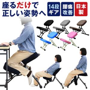 藤栄 ZAKKINI ザッキーニチェア FUJIEI メーカー取寄品 : mmis MM