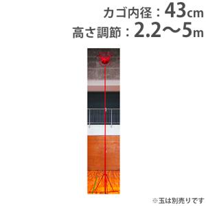 TOEI LIGHT（トーエイライト） 握力計 デジタル表示 ロードセル式 体力