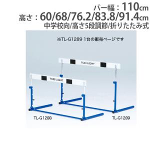 TOEI LIGHT（トーエイライト） 握力計 スメドレー式 0〜100kg用 握力