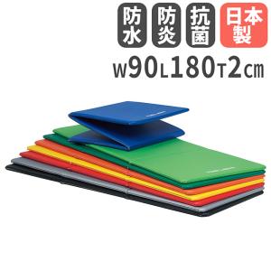 TOEI LIGHT（トーエイライト） 法人限定 トレーニングマット