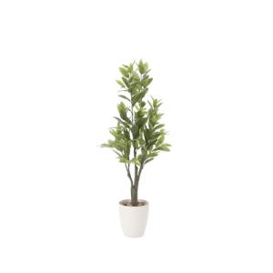 レモン 125cm 幅50×奥行45×高さ125cm 人工観葉植物 光触媒 鉢植えタイプ 造花 インテリアグリーン 人工植物 インテリア小物 817A240-44｜lookit