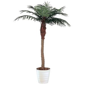 送料無料 フェニックス 観葉植物 210ｃｍ 人工樹 防汚 A3601-500｜lookit