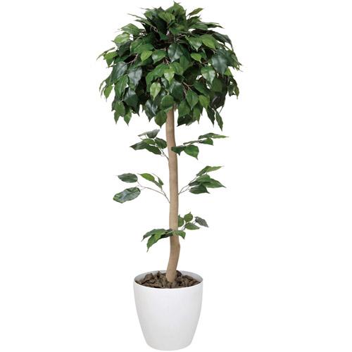 ベンジャミン 観葉植物 150cm 人工樹 鉢付き 送料無料 C4006-200