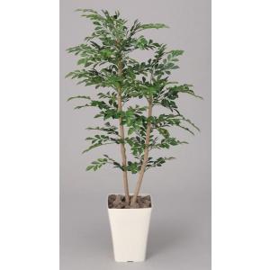 トネリコ 観葉植物 120cm 光触媒 抗菌 消臭 C4207-150　送料無料｜lookit