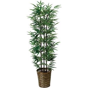 黒竹 観葉植物 造花 鉢植え プラント 人工植物...の商品画像