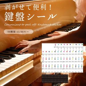 ピアノ 音符シール 剥がせる 初心者 ピアノ練習 キーボード