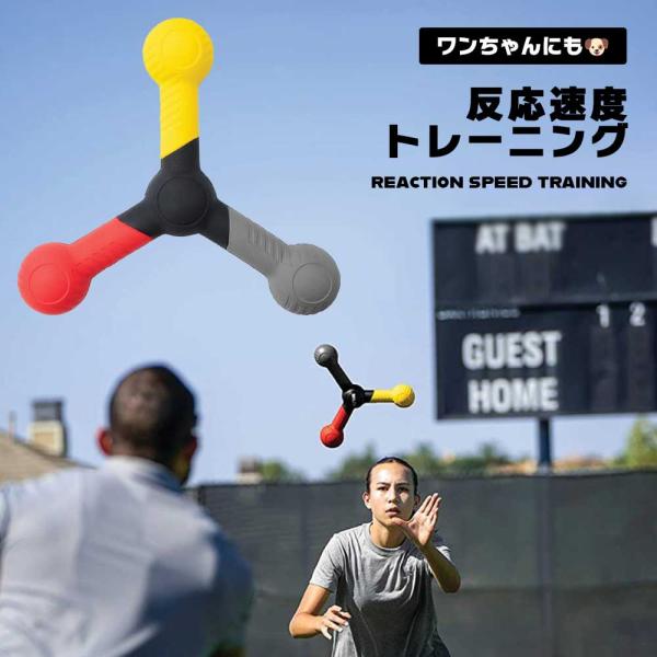 トレーニング 反射神経 反応速度 向上 スポーツ 訓練 キャッチ 協調トレーニング 簡単 便利 人間...