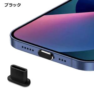 Type-C キャップ アルミ 汚れ 保護 埃...の詳細画像1