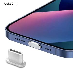 Type-C キャップ アルミ 汚れ 保護 埃...の詳細画像2