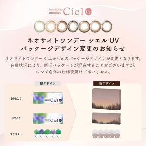 【20%OFFクーポン】カラコン ワンデー カ...の詳細画像5