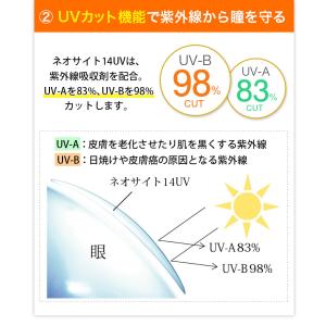 【ポイントUP中】コンタクト 2week コン...の詳細画像5