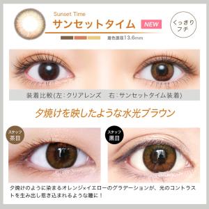 【2箱】【20%OFFクーポン】エバーカラーワ...の詳細画像2
