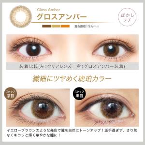 【2箱】【20%OFFクーポン】エバーカラーワ...の詳細画像4