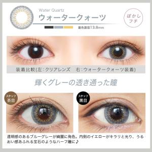 【2箱】【20%OFFクーポン】エバーカラーワ...の詳細画像5