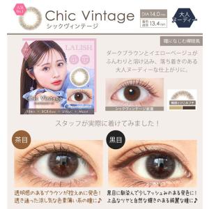 【30%OFF】カラコン ワンデー カラーコン...の詳細画像3