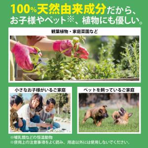 カメムシ対策 カメムシ忌避剤 カメムシスプレー...の詳細画像3