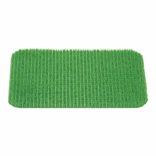 パイレス専用　肉芝　B型　小用　緑　API-09