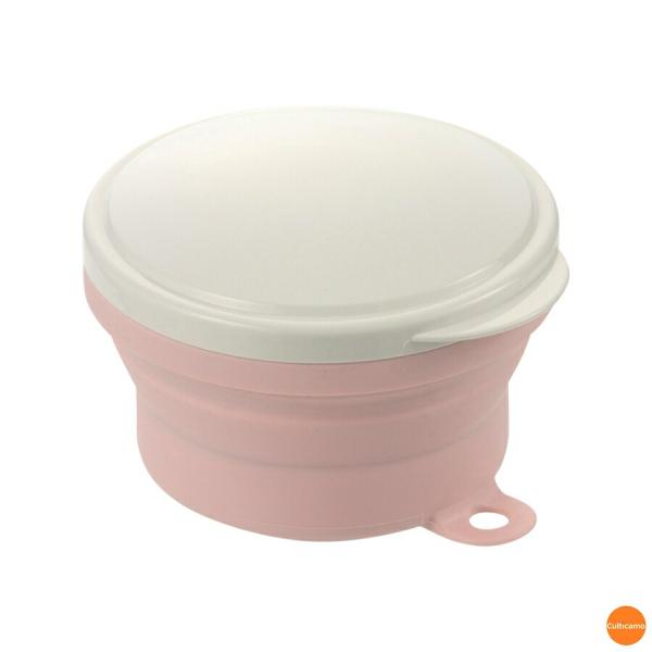 リッチェル　使っていいね！　入れ歯ケース　RMG-66