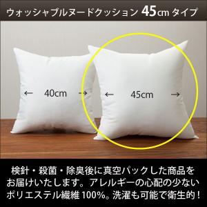 クッション ヌードクッション 45cm 国産 ウ...の商品画像