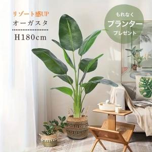 神戸花物語 フェイクグリーン 観葉植物 人工観葉 大型 光触媒
