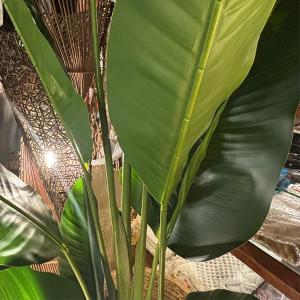 フェイクグリーン 大型 オーガスタ 観葉植物 ...の詳細画像5
