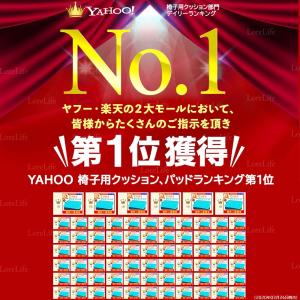 GelLight ゲルクッション 2025 ジ...の詳細画像1