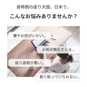 GelLight ゲルクッション ジェルクッシ...の詳細画像3