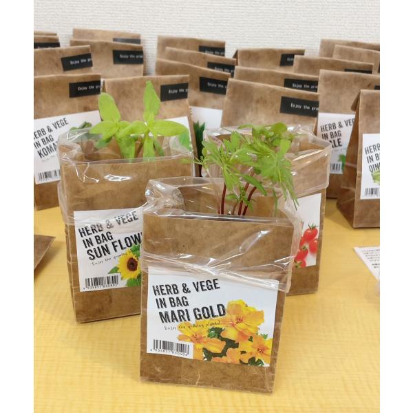 室内 栽培キット 18種 HERB &amp; VEGE IN BAG 野菜 ハーブ 花 種 そのまま紙袋で...