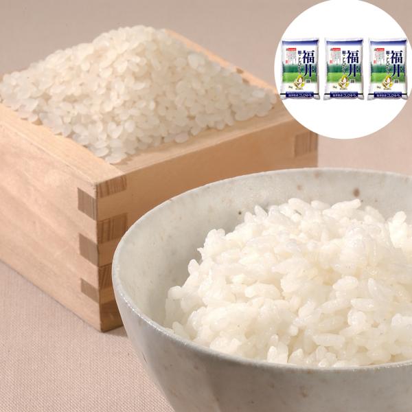 福井県産 こしひかり 15kg(5kg×3) 15キロ お米 おこめ 精米 白米