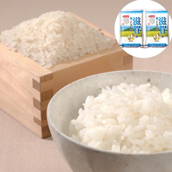 滋賀県産 こしひかり 10kg(5kg×2) 10キロ お米 おこめ 精米 白米