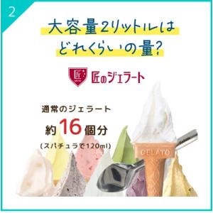 ジェラート 濃厚 大容量 ロッテ 公式 匠のジ...の詳細画像4