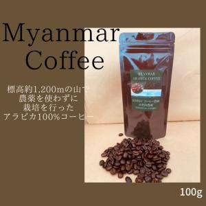 ミャンマー　コーヒー　【ミャンマーコーヒー　コーヒー豆】ヒミコCOFFEE　100g　豆