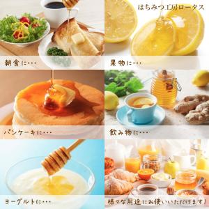 100%国産 純粋非加熱蜂蜜 アカシア蜂蜜 北海道産の詳細画像2