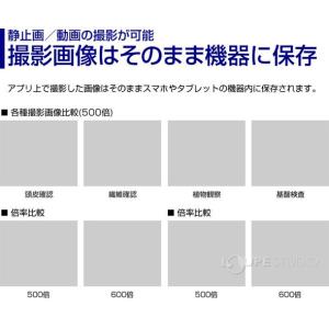 WIFI接続 ワイヤレスデジタル顕微鏡 高倍率...の詳細画像5