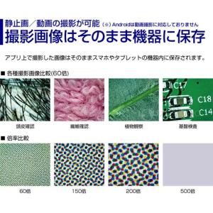 WIFI接続 ワイヤレスデジタル顕微鏡 10〜...の詳細画像5