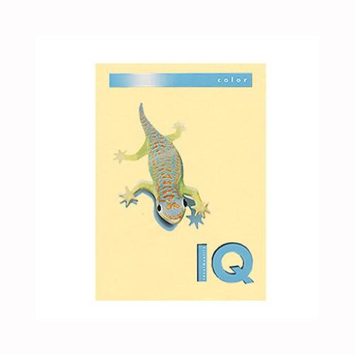 バイオトップカラーA4(500枚入) 伊東屋 BT501 クリーム