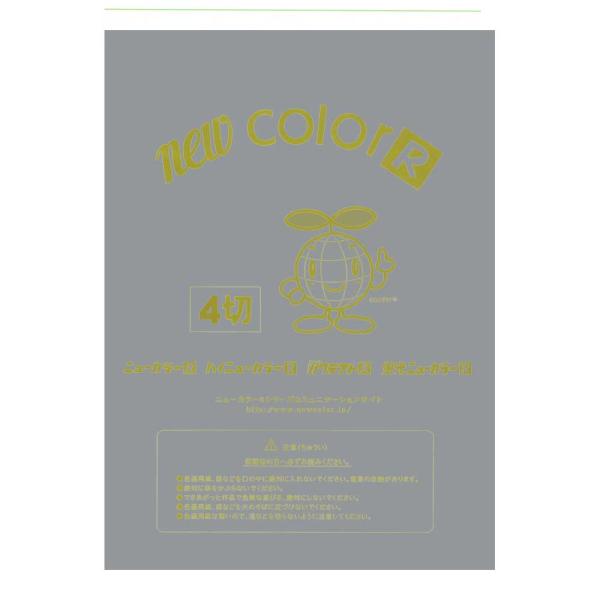 画用紙 色画用紙 ニューカラーR  リンテック GO4NCR-240