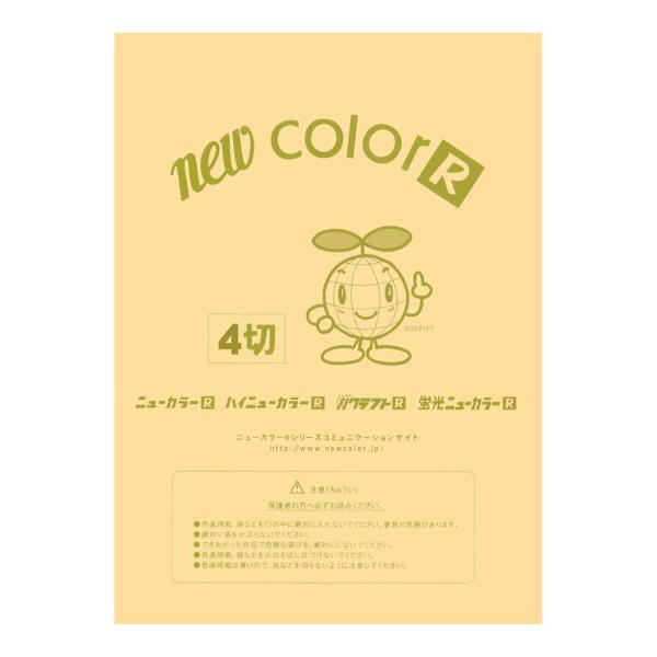 画用紙 色画用紙 ニューカラーR  リンテック GO4NCR-122