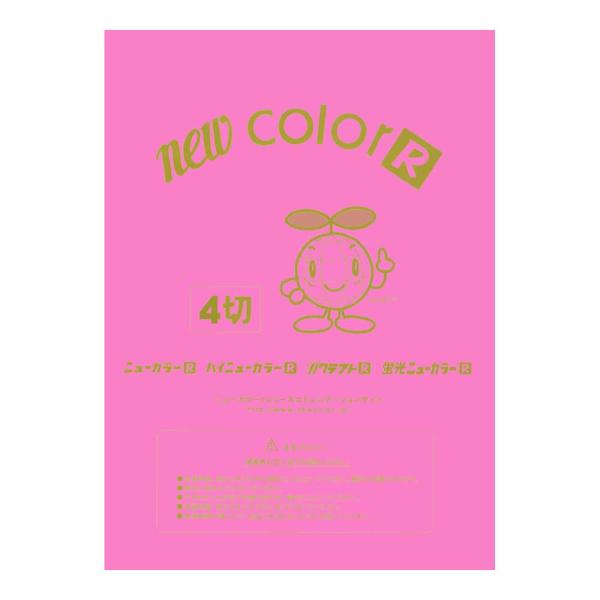 画用紙 色画用紙 ニューカラーR  リンテック GO4NCR-242