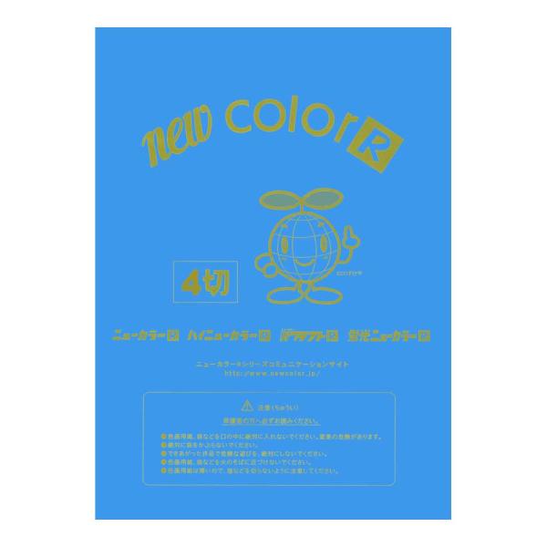 画用紙 色画用紙 ニューカラーR  リンテック GO4NCR-216