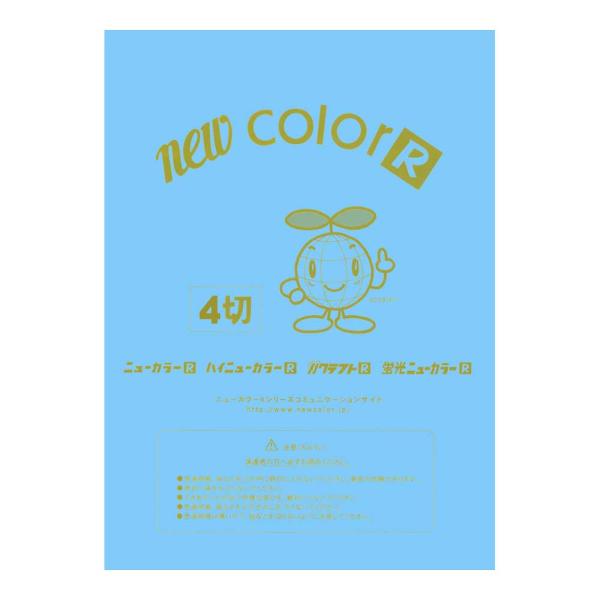 画用紙 色画用紙 ニューカラーR  リンテック GO4NCR-211