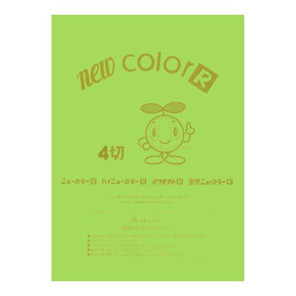 画用紙 色画用紙 ニューカラーR  リンテック GO4NCR-212