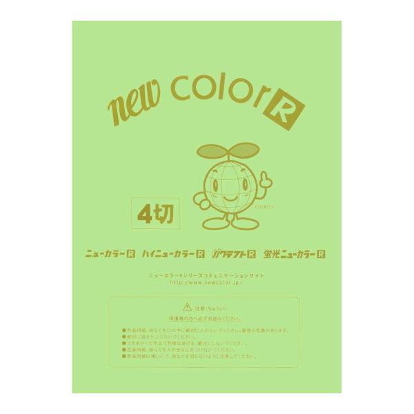画用紙 色画用紙 ニューカラーR  リンテック GO4NCR-243